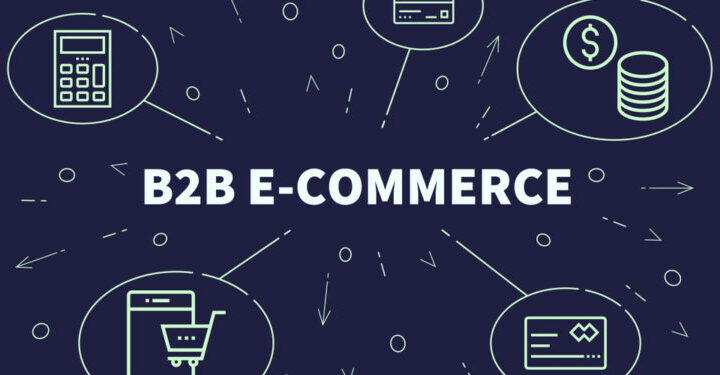 The Future of Business: The Role of B2B E-commerce Platforms